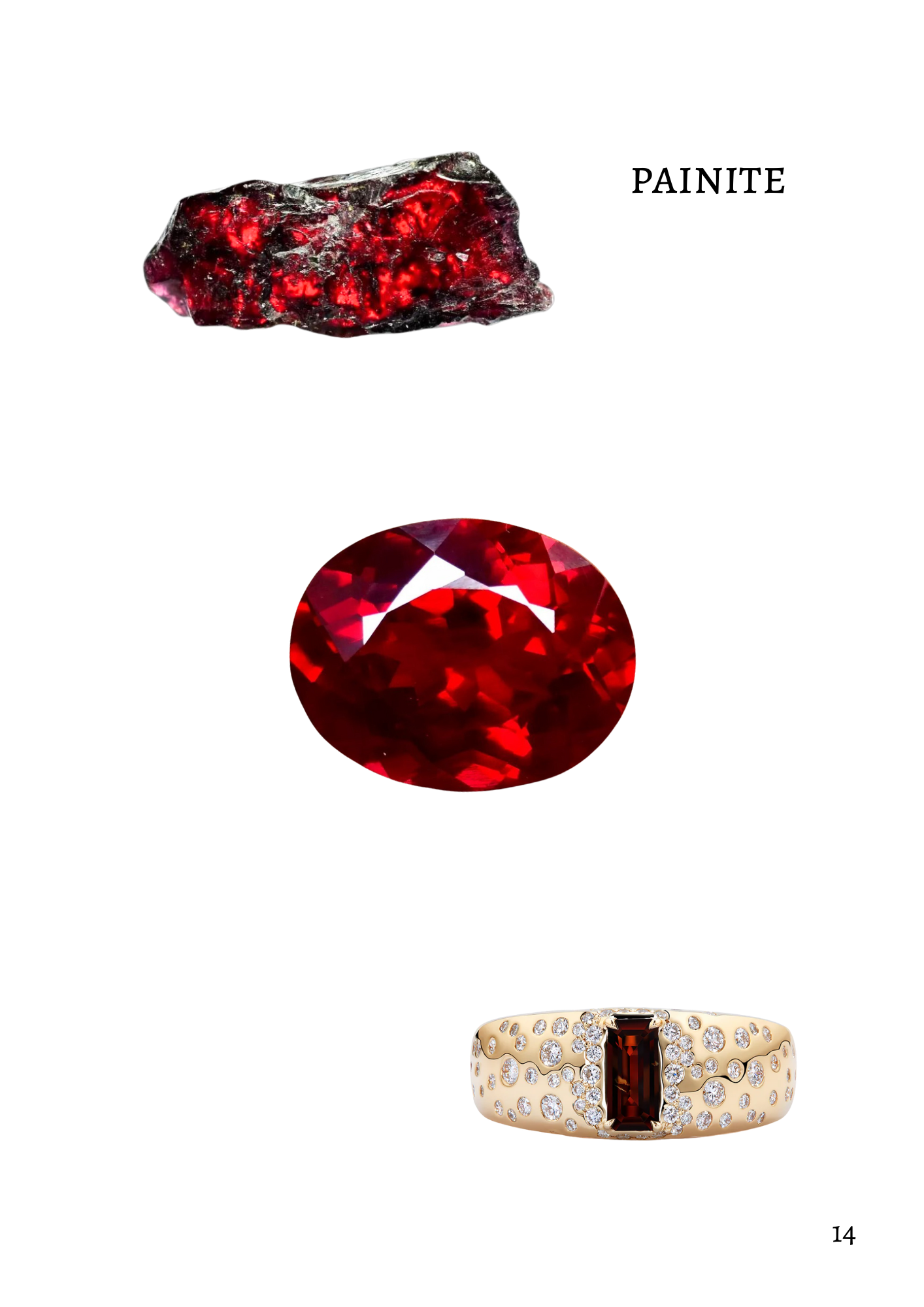 Red and Black Luxury Fashion Style Magazine - 14