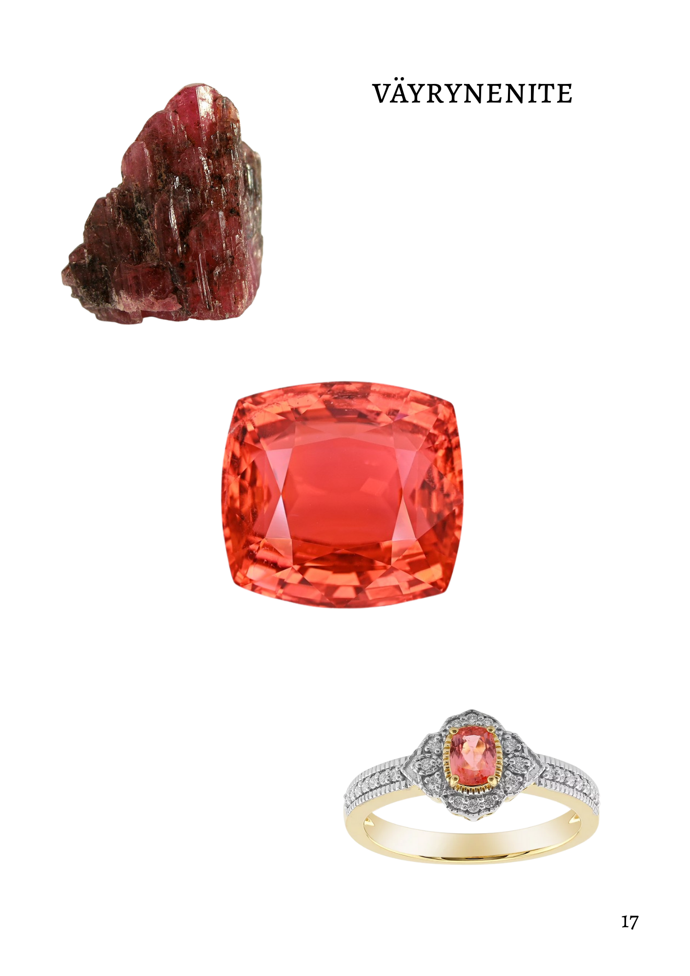 Red and Black Luxury Fashion Style Magazine - 17